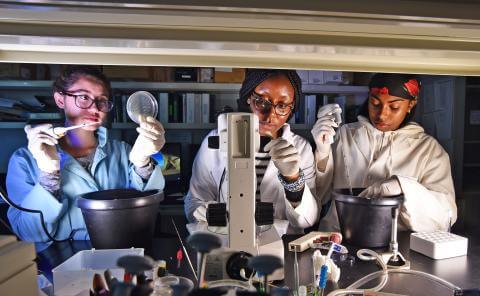 Scientists in Lab