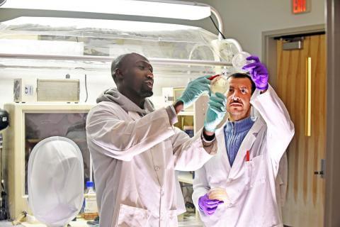 Image of two doctors examining specimens in a lab